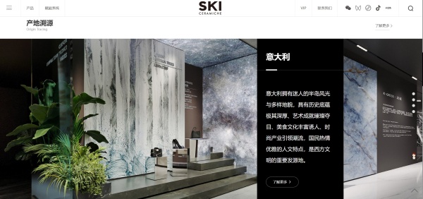 SKI营销型官网